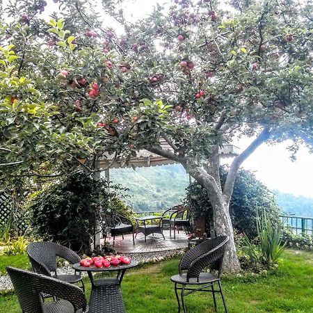 The Swiss Village Resort Nainital Exterior photo